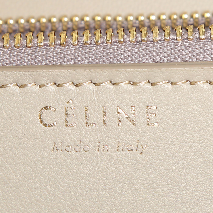 Celine Classic Box handbag in taupe lizzard - Detail D3