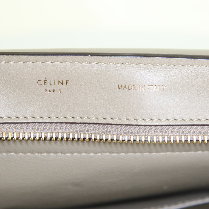 Sac à main Celine Trapeze grand modèle en cuir taupe et daim taupe - Detail D3