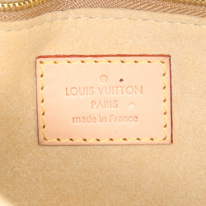 Louis Vuitton Etoile City pouch in brown monogram canvas and natural leather - Detail D3