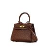 Hermes Kelly 20 cm handbag in brown ostrich leather - 00pp thumbnail