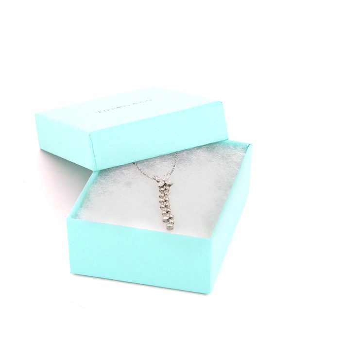 Tiffany & Co Victoria necklace in platinium and diamonds - Detail D2