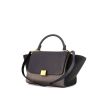 Celine Trapeze small model handbag in blue, grey and black tricolor leather - 00pp thumbnail