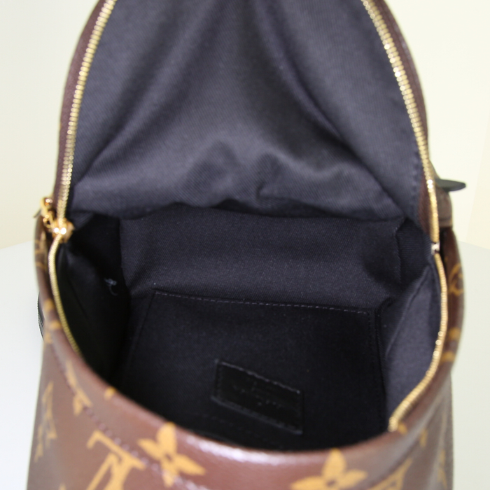 Louis Vuitton Palm Springs Backpack Mini small model backpack in brown monogram canvas and black leather - Detail D2