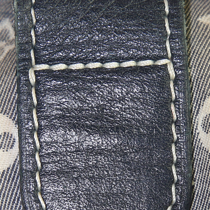 Borsa a tracolla Louis Vuitton Elégie in tessuto a monogramma Idylle undefined e pelle nera - Detail D4