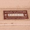 Valise Louis Vuitton Brettes Chapeaux en toile monogram et lozine marron - Detail D3 thumbnail