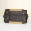 Loewe Amazona handbag in beige suede and brown leather - Detail D5 thumbnail