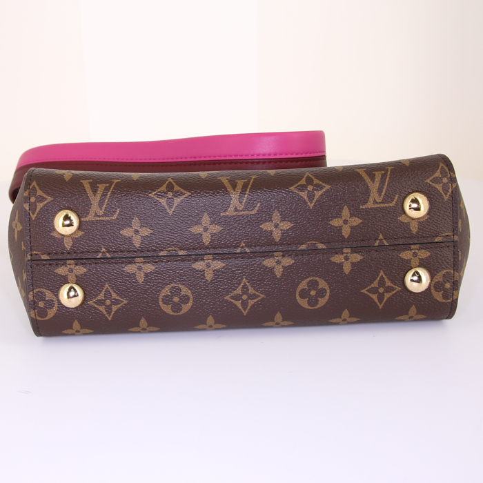 Borsa a tracolla Louis Vuitton Cluny in tela monogram marrone e pelle naturale - Detail D5