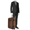 Louis Vuitton Pegase suitcase in damier canvas and brown leather - Detail D1 thumbnail