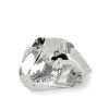 Big cat skull in silver-plated resin, 2010s - 00pp thumbnail