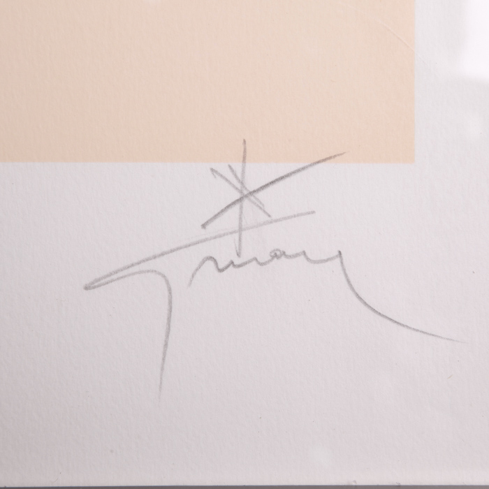 René Gruau "Chaussures rouges" des années 1990, lithographie, encadrée, signée et numérotée - Detail D2