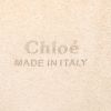 Borsa a tracolla Chloé Faye modello medio in camoscio multicolore e pelle marrone - Detail D3 thumbnail