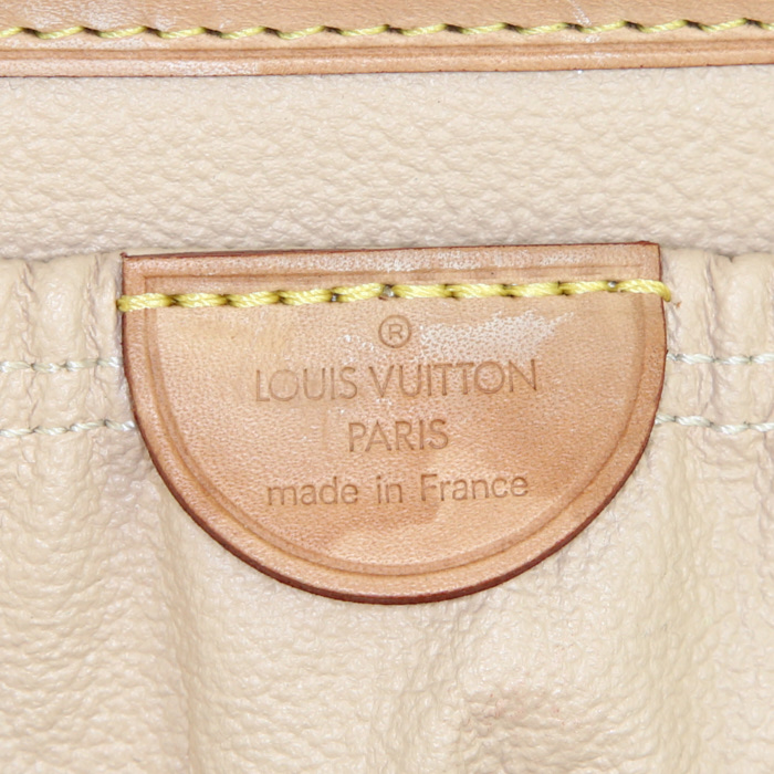 Louis Vuitton Nice vanity case in brown monogram canvas and natural leather - Detail D5