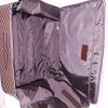 Louis Vuitton Pegase 65 cm suitcase in damier canvas and brown leather - Detail D2 thumbnail
