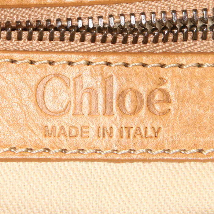 Borsa Chloé Silverado in serpente d'acqua beige e pelle beige - Detail D3