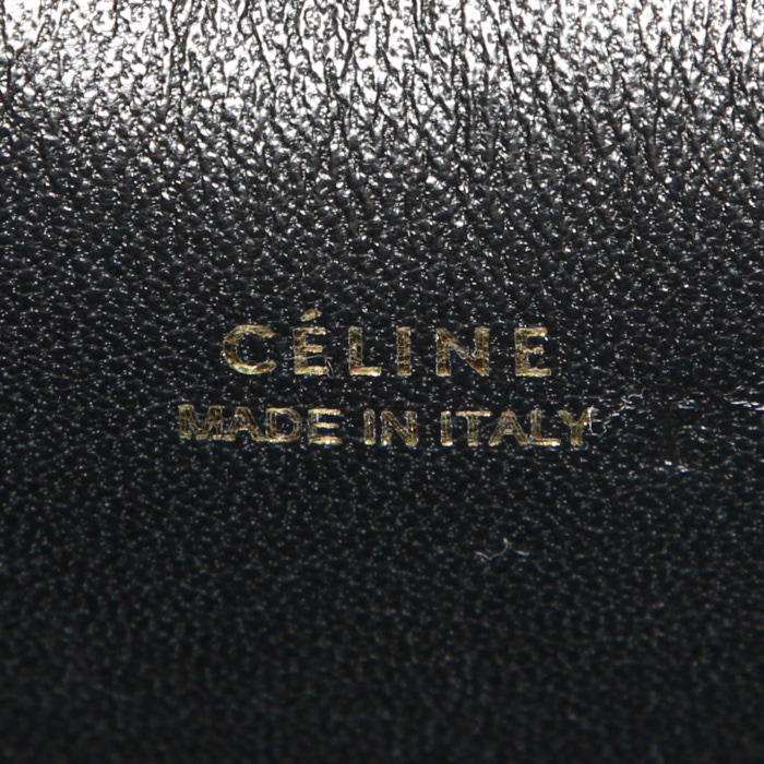 Celine  Belt mini  handbag  in black and silver python  and black leather - Detail D4
