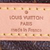 Louis Vuitton Speedy Editions Limitées handbag in brown monogram canvas and natural leather - Detail D4 thumbnail