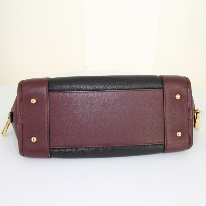 Loewe Amazona small model handbag in black, burgundy and brown tricolor leather - Detail D4