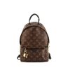 Louis Vuitton Palm Springs Backpack small model backpack in brown monogram canvas and black leather - 360 thumbnail