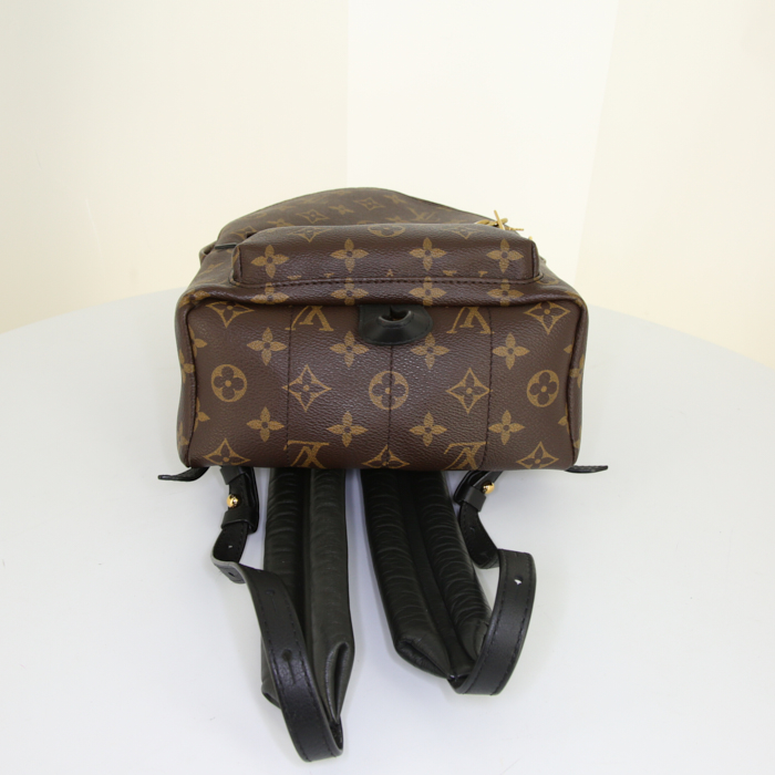 Louis Vuitton Palm Springs Backpack Backpack 365892 | Collector Square