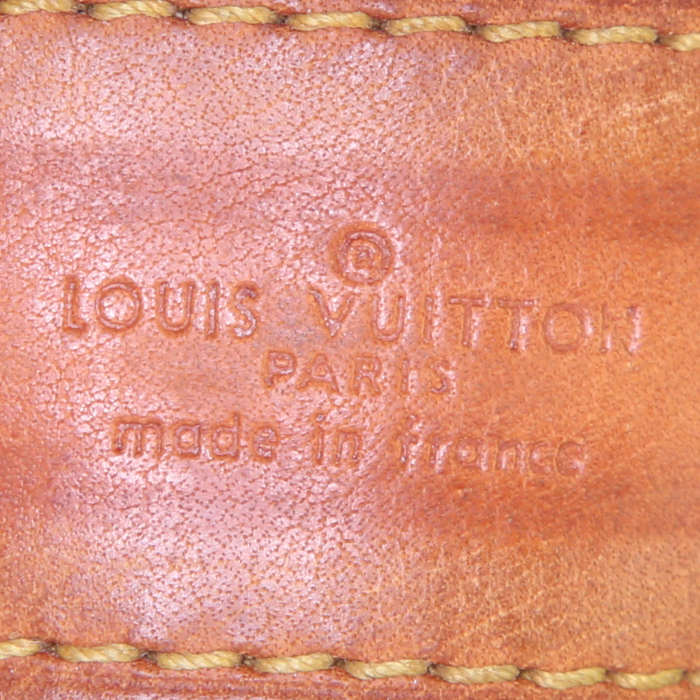 Borsa a tracolla Louis Vuitton Danube	 modello piccolo in tela monogram marrone e pelle naturale - Detail D3