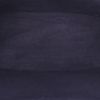Bolso para llevar al hombro Louis Vuitton Verseau en cuero Epi negro y plexiglás negro - Detail D2 thumbnail