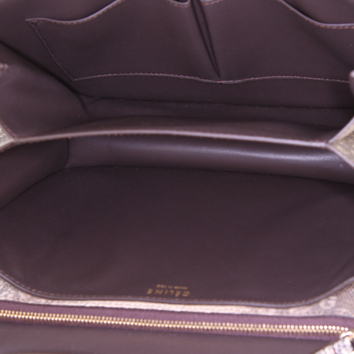 Sac bandoulière Celine  Classic Box en lézard beige - Detail D2