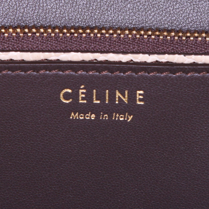 Celine  Classic Box shoulder bag  in beige lizzard - Detail D3