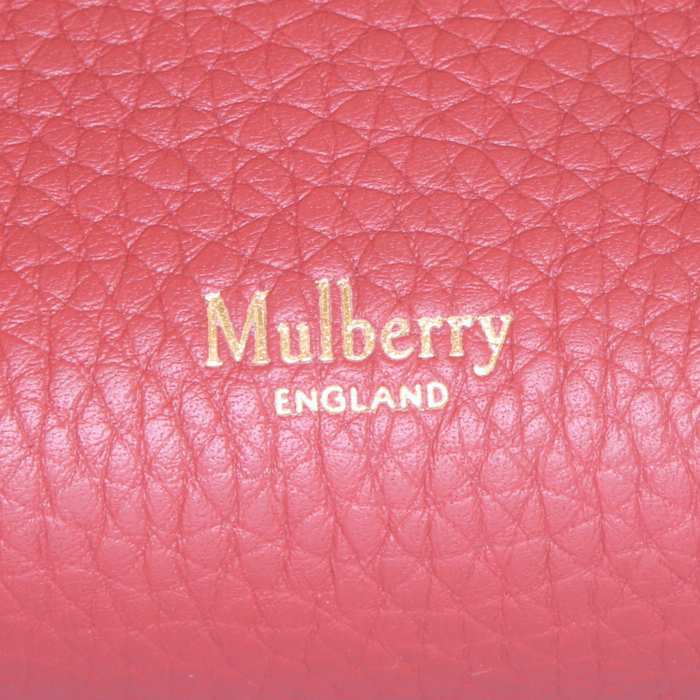Sac à main Mulberry Iris en cuir grainé rouge Rust - Detail D4
