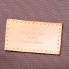 Funda protectora para ropa Louis Vuitton en lona Monogram y cuero natural - Detail D4 thumbnail