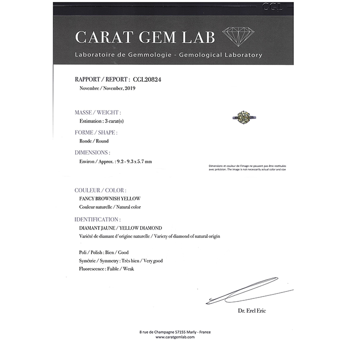 Anello solitario in oro bianco e diamanti e diamante giallo (3 carats) - Detail D3