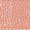 Cintura Hermès Ceinture in pelle box nera - Detail D1 thumbnail