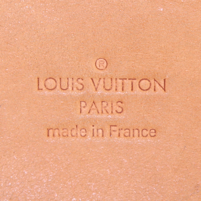 Bolso de mano Louis Vuitton Stresa en lona a cuadros azul celeste y cuero natural - Detail D3