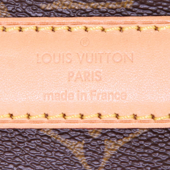 Bolsa de viaje Louis Vuitton Sac chien 40 en lona Monogram y cuero natural - Detail D3