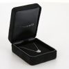 Tiffany & Co Soleste necklace in platinium and diamonds - Detail D2 thumbnail