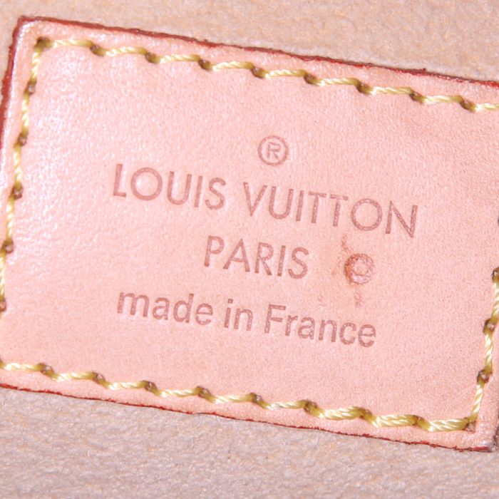 Sac porté épaule Louis Vuitton Etoile City en toile monogram marron et cuir naturel - Detail D3