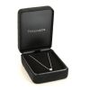 Tiffany & Co Soleste necklace in platinium and diamonds - Detail D2 thumbnail