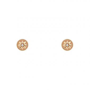 Dior Rose des vents Earring 372311