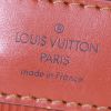Borsa a spalla Louis Vuitton Sac d'épaule modello piccolo in pelle Epi marrone - Detail D3 thumbnail