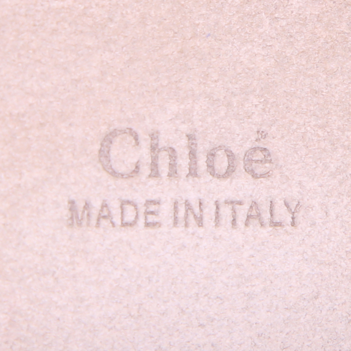 Borsa a tracolla Chloé Faye in camoscio marrone Rouille e pitone grigio - Detail D3