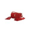 Sac bandoulière Saint Laurent Opyum Box en plexiglas rouge - 00pp thumbnail