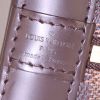 Borsa Louis Vuitton Alma in tela a scacchi marrone e pelle marrone - Detail D4 thumbnail