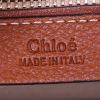 Chloé Pixie shoulder bag in beige leather and beige raphia - Detail D4 thumbnail
