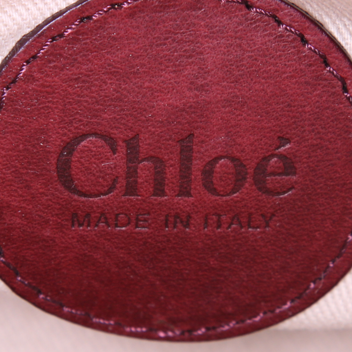 Bolso de mano Chloé Silverado en piel de pitón rosa y cuero color burdeos - Detail D3