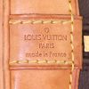 Louis Vuitton Alma handbag in brown monogram canvas and natural leather - Detail D3 thumbnail