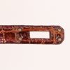 Bolso de mano Hermes Birkin 25 cm en cocodrilo porosus marrón - Detail D4 thumbnail