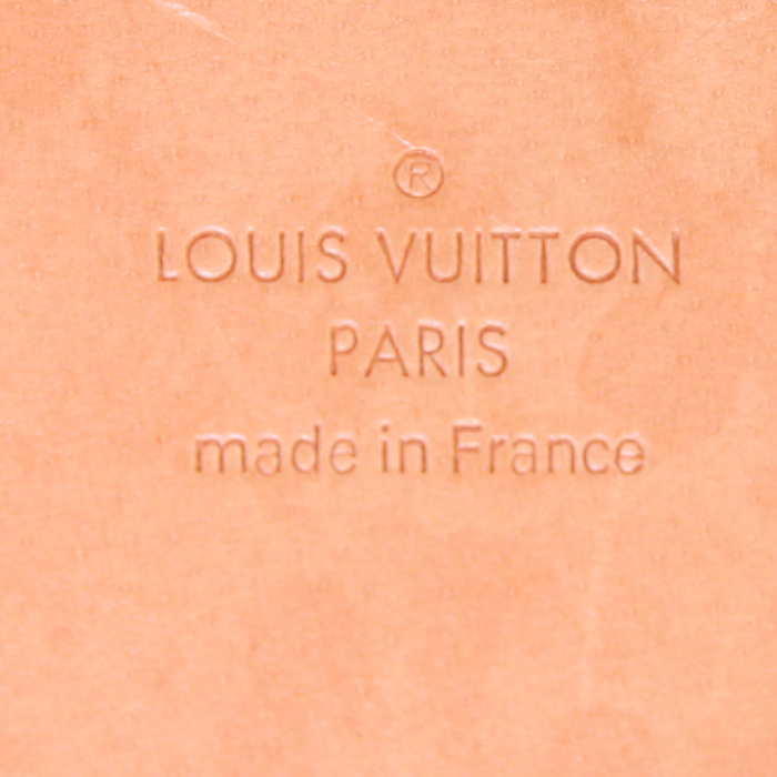 Sac à main Louis Vuitton Stresa en toile damier azur et cuir naturel - Detail D3