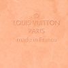 Sac à main Louis Vuitton Stresa en toile damier azur et cuir naturel - Detail D3 thumbnail
