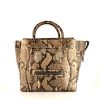 Celine Luggage medium model handbag in beige and brown python - 360 thumbnail