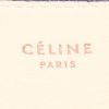 Bolso de mano Celine Blade en cuero beige - Detail D3 thumbnail