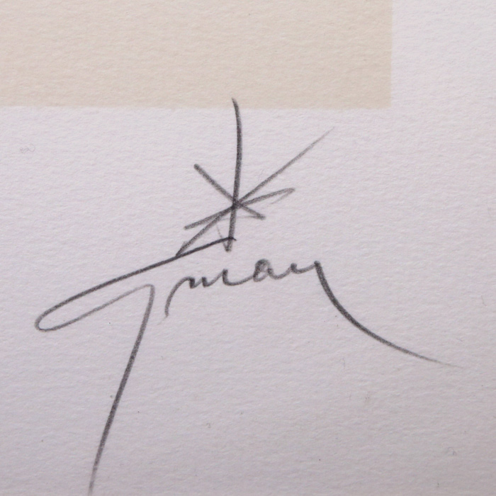 René Gruau, d'après "Portrait" de 1987, lithographie, encadrée, signée et numérotée - Detail D2